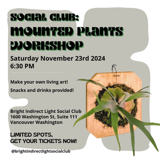 Social Club:  Staghorn Mounting Workshop