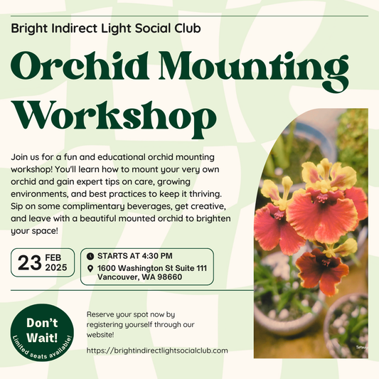 Social Club: Orchid Mounting Workshop